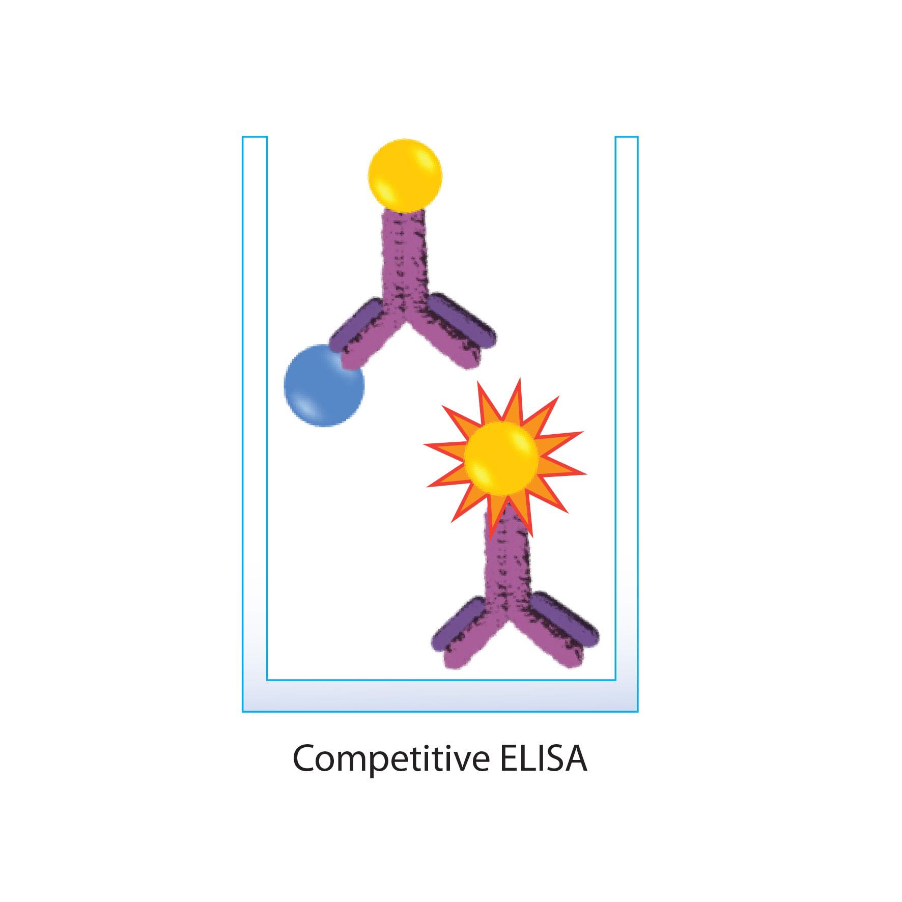 Competitive Elisa