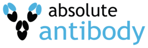 Absolute Antibody
