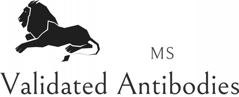MS Validated Antibodies